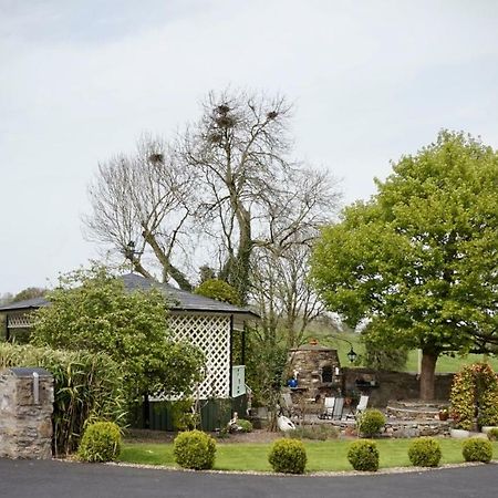 Cartron House Bed & Breakfast Ballinakill  Eksteriør bilde