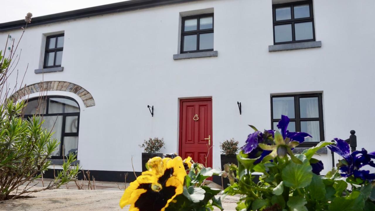 Cartron House Bed & Breakfast Ballinakill  Eksteriør bilde