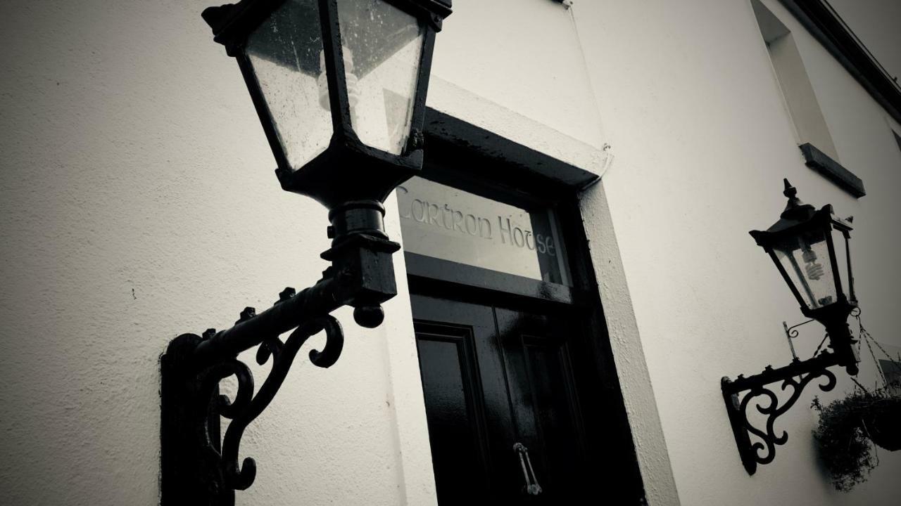 Cartron House Bed & Breakfast Ballinakill  Eksteriør bilde